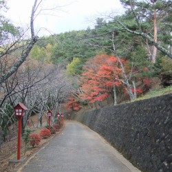 山道の紅葉