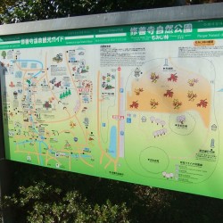 修善寺自然公園