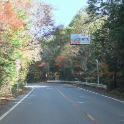 鳴沢村