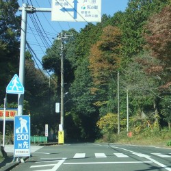 「修善寺自然公園」