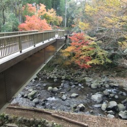 「男橋」