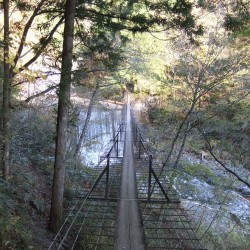 「阿倍の大滝」