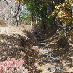 新倉山浅間公園