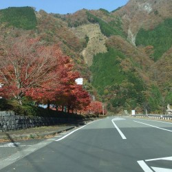 梅が島