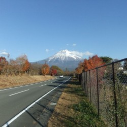 田貫粉