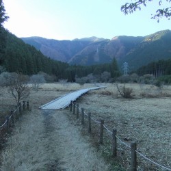 小田貫湿原