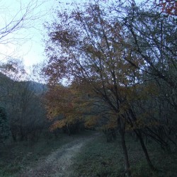 小田貫湿原