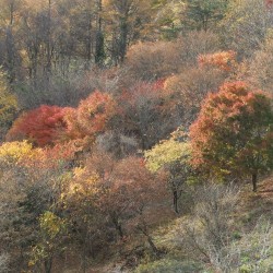 二十曲峠