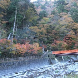 梅が島