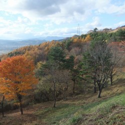 二十曲峠