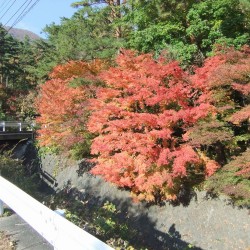 川口湖