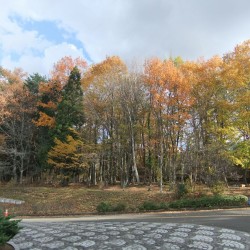 富士北麓公園