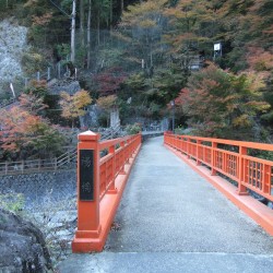 梅が島