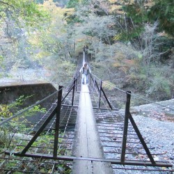 「阿倍の大滝」