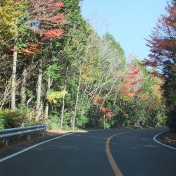 鳴沢村