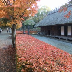 富士吉田市歴史民族博物館