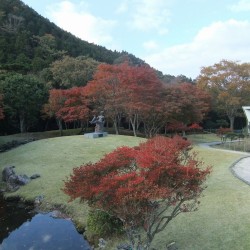 昭和の森会館