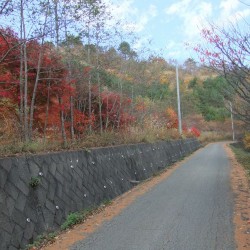 二十曲峠