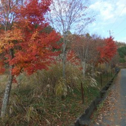 二十曲峠