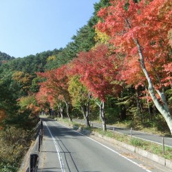 川口湖