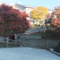 富士吉田市歴史民族博物館
