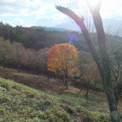 二十曲峠