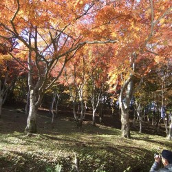 修善寺自然公園