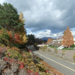 富士北麓公園