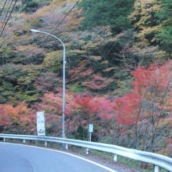 梅が島