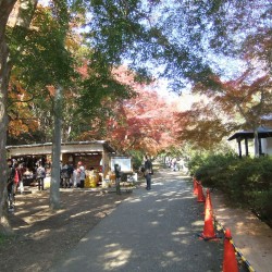 修善寺自然公園