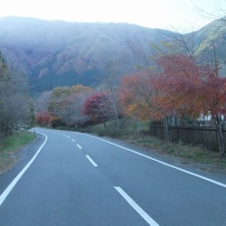 田貫粉