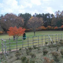 諏訪の森自然公園