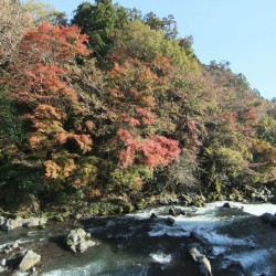 音止めの滝