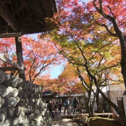 修善寺
