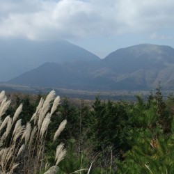 青木が原紅葉