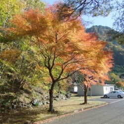 コンヤ温泉