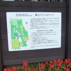 諏訪の森自然公園