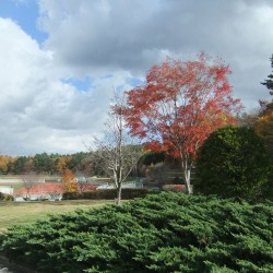 富士北麓公園