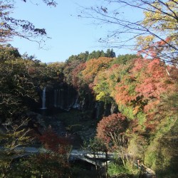 白糸の滝