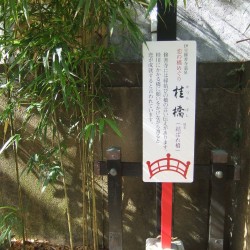 「桂橋」