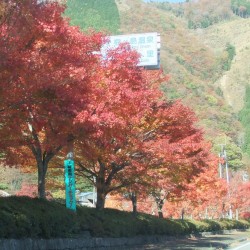 梅が島