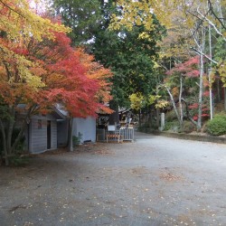 新倉山浅間神社