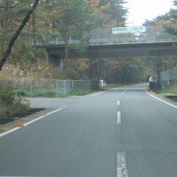 東富士五湖道路