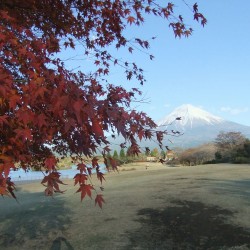 田貫湖