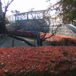 富士吉田市歴史民族博物館