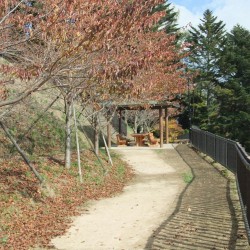 新倉山浅間公園