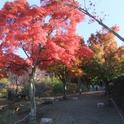 富士吉田市歴史民族博物館