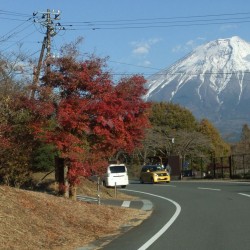 田貫粉