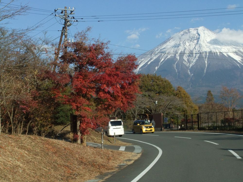 静岡県富士宮市 田貫湖 の紅葉情報と見頃 田舎暮らしブログ