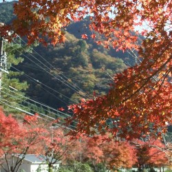 こんや温泉